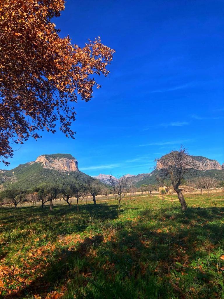 Villa Son Ribes à Alaró Extérieur photo